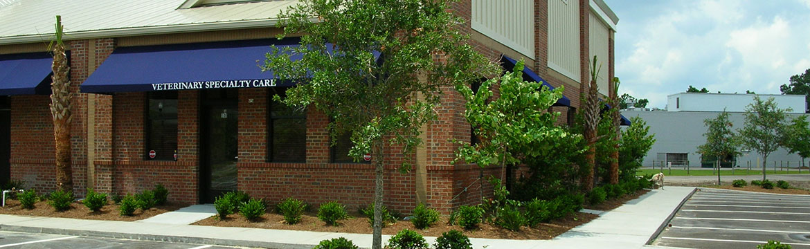 Enhance the front of your business with an awning!